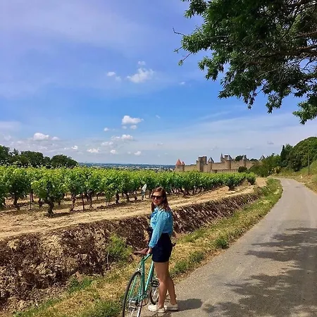 Confort ! Climatisation, Centre-ville, Parking, Terrasse, Wifi, Netflix Carcassonne