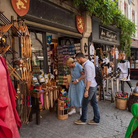 Confort ! Climatisation, Centre-ville, Parking, Terrasse, Wifi, Netflix * Carcassonne