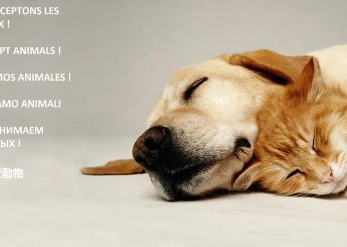 Confort ! Climatisation, Centre-ville, Parking, Terrasse, Wifi, Netflix Carcasona