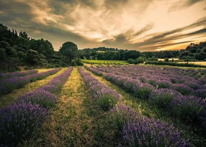 Confort ! Climatisation, Centre-ville, Parking, Terrasse, Wifi, Netflix Apartament