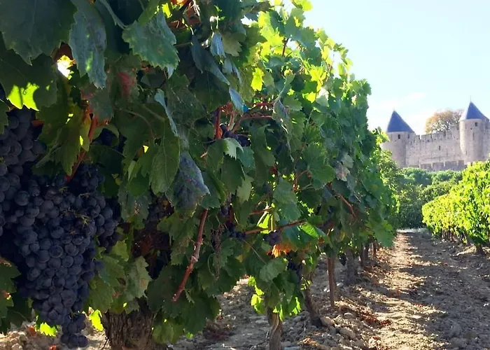 Confort ! Climatisation, Centre-ville, Parking, Terrasse, Wifi, Netflix Apartamento Carcasona