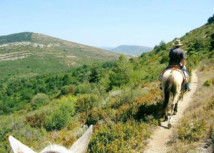 Confort ! Climatisation, Centre-ville, Parking, Terrasse, Wifi, Netflix * Carcasona