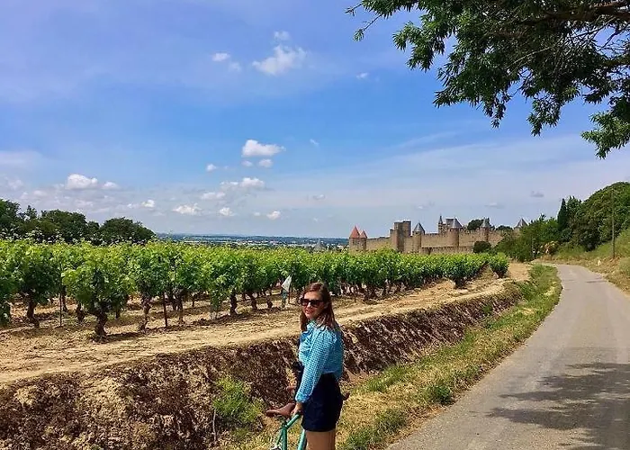 Confort ! Climatisation, Centre-ville, Parking, Terrasse, Wifi, Netflix Carcasona