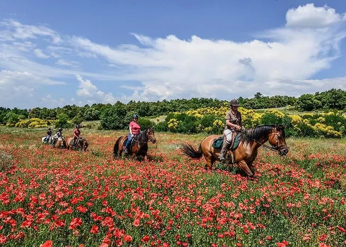 Confort ! Climatisation, Centre-ville, Parking, Terrasse, Wifi, Netflix * Carcasona