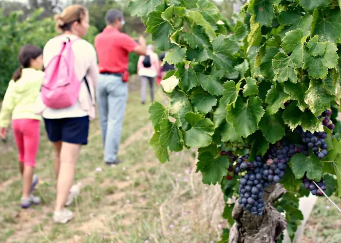 Confort ! Climatisation, Centre-ville, Parking, Terrasse, Wifi, Netflix Apartament Carcassonne